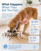 DoggyDine™ - For Indigestion, Bloating & Reduce Vomiting