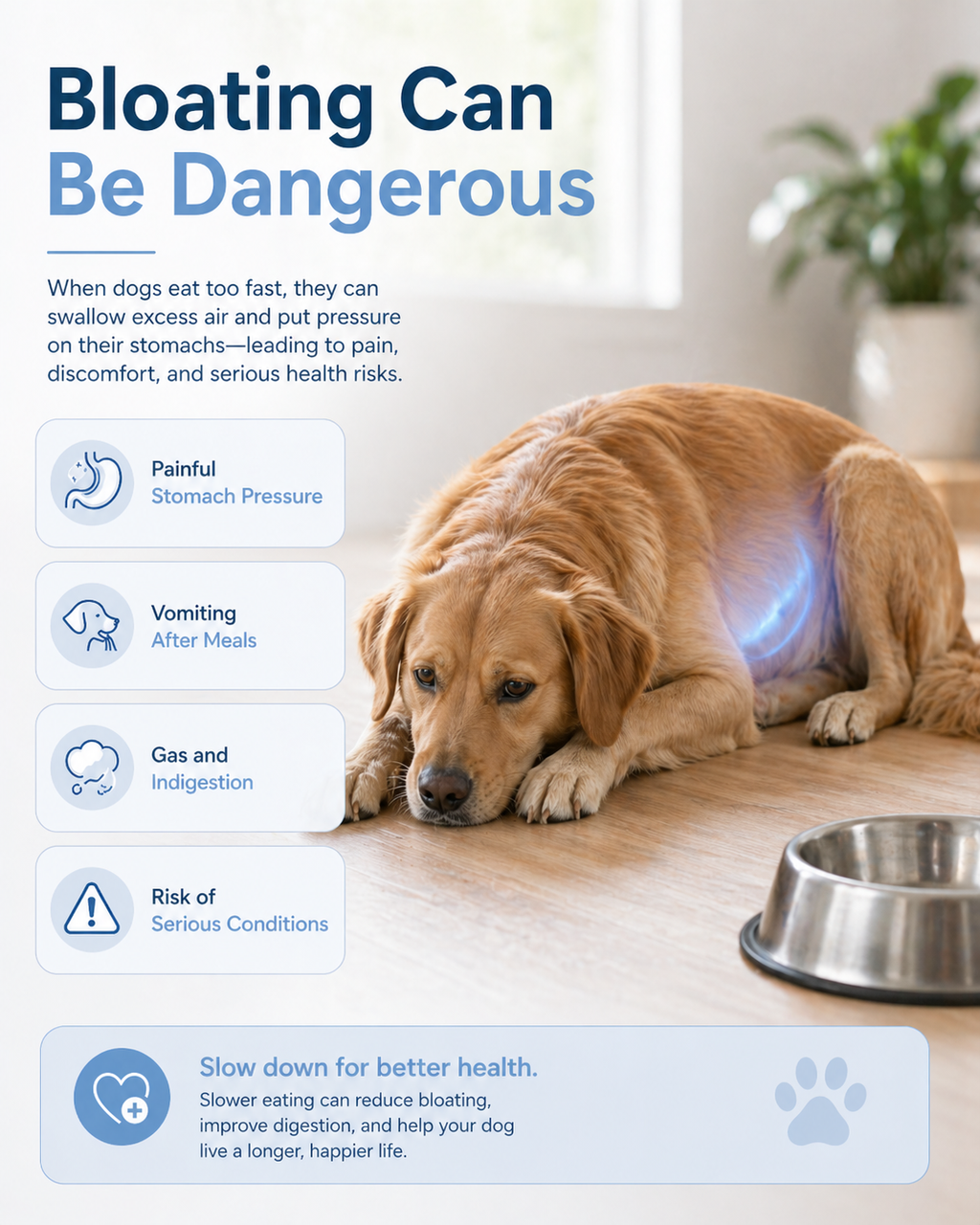 DoggyDine™ - For Indigestion, Bloating & Reduce Vomiting