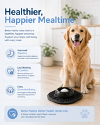 DoggyDine™ - For Indigestion, Bloating & Reduce Vomiting